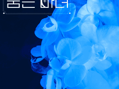 #6. 인연이 된 우연