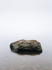 내가 돌이 된 이유