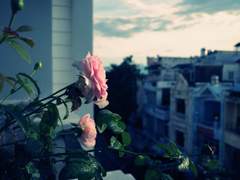 죽고 싶은 사람은 없다