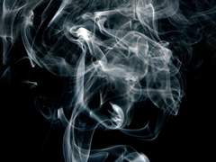 어둠속 푸른빛은 무얼 잡는가