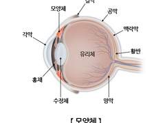 자기 전에 핸드폰을 보면 안되는 이유