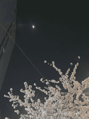 [동오낙수] 환승연애