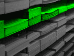 백 천련 / 18세 / XY