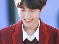 아날로그 로맨스