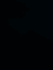 [헌터x헌터] 소환사로 사는 법