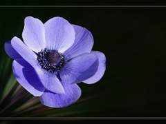 맹세를 되새기며