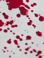 [선문과 세계를 이끄며 신과 모든것들의 균형을 부수는 자]