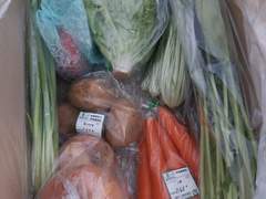 [DAY 21, 22] 막내입성