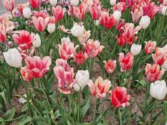 졸업 후 학교에 왔다.