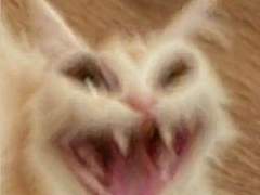 Let Out The Beast 14, 15, 16