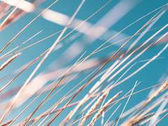 [솔부] 너의 바람 나의 영웅 1