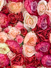  [새벽의 연화] 붉은 꽃 위로