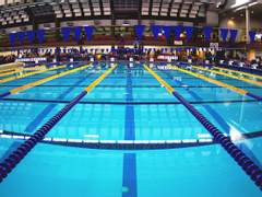 [현대AU] 체대생 리프탄 & 미대생 맥시밀리언 (1)