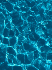 나의 춤은 누가 보아주나요