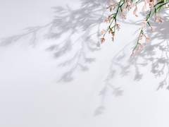 반대과정이론 #08