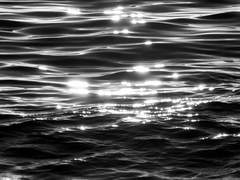 2D 2.5D 3D 개인봇 커미션을 개장합니다