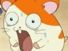 💚햄스터의 비밀친구💚下