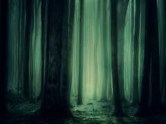 [유키모모] 수호자