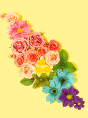 봄이 오면 꽃이 피고 2차