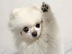 당신의 소년에게 투표하세요