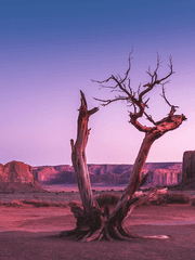 엄마는 내게 조현병이라고 했다