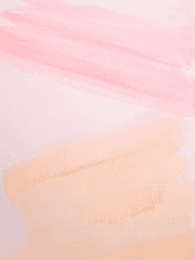 라이브 방송을 시작했습니다