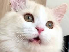 빛나는 못말려 TALK 시즌2-2