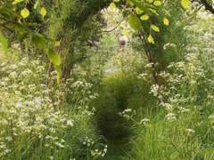 V가 사는 신기루