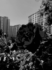 미제사건파일 N.11