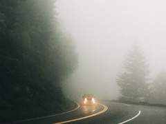 안개 속을 살아가다