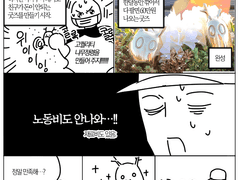 메이플 팬페스트 후기