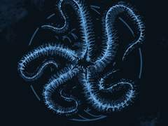 Hypnosis - Sleep Token