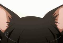 [ 코난 ] 드림주한테 고양이 귀가 생겨버렸다..