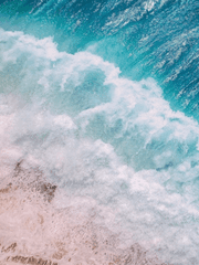 파도가 지나간 자리