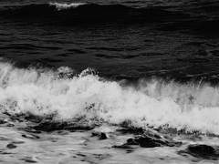 僕たちの幸せだった青春たち