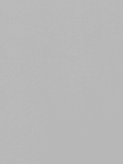 내추럴 본 가비지