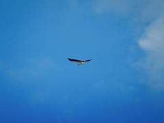 00. Hey baby, Welcome To MY world