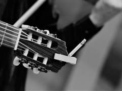 [타마소우] the 8 beat wanderers