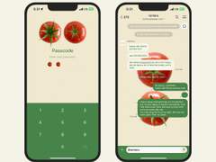 396. Food #02 (Tomato)