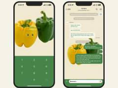 398. Food #04 (Paprika)