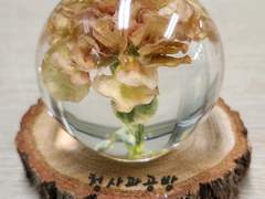 카네이션 구 문진