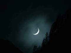 가게 이름은 거미와 파리