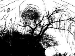 毎日東京タバコ