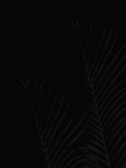 은혼 트위터 썰 모음