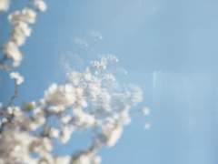 [고죠우타] 01. 타버린 숯이여, 예전에는 흰 눈 쌓인 나뭇가지였겠지