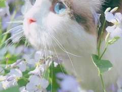 “ The Sunset Soaked in Sadness. ”