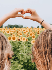 위도트레 모음집