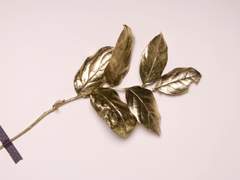 [마르른] 세계수와 불사조2