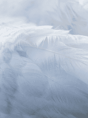 세상을 바꾸는 자들은 날개를 달고