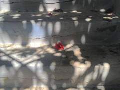 생각은 늘 미래에 가서